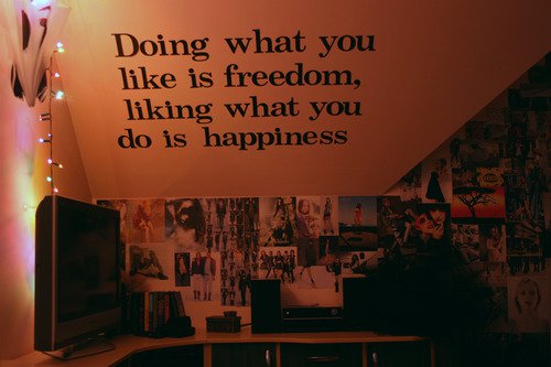 Doing what you like is freedom, liking what you do is happiness.